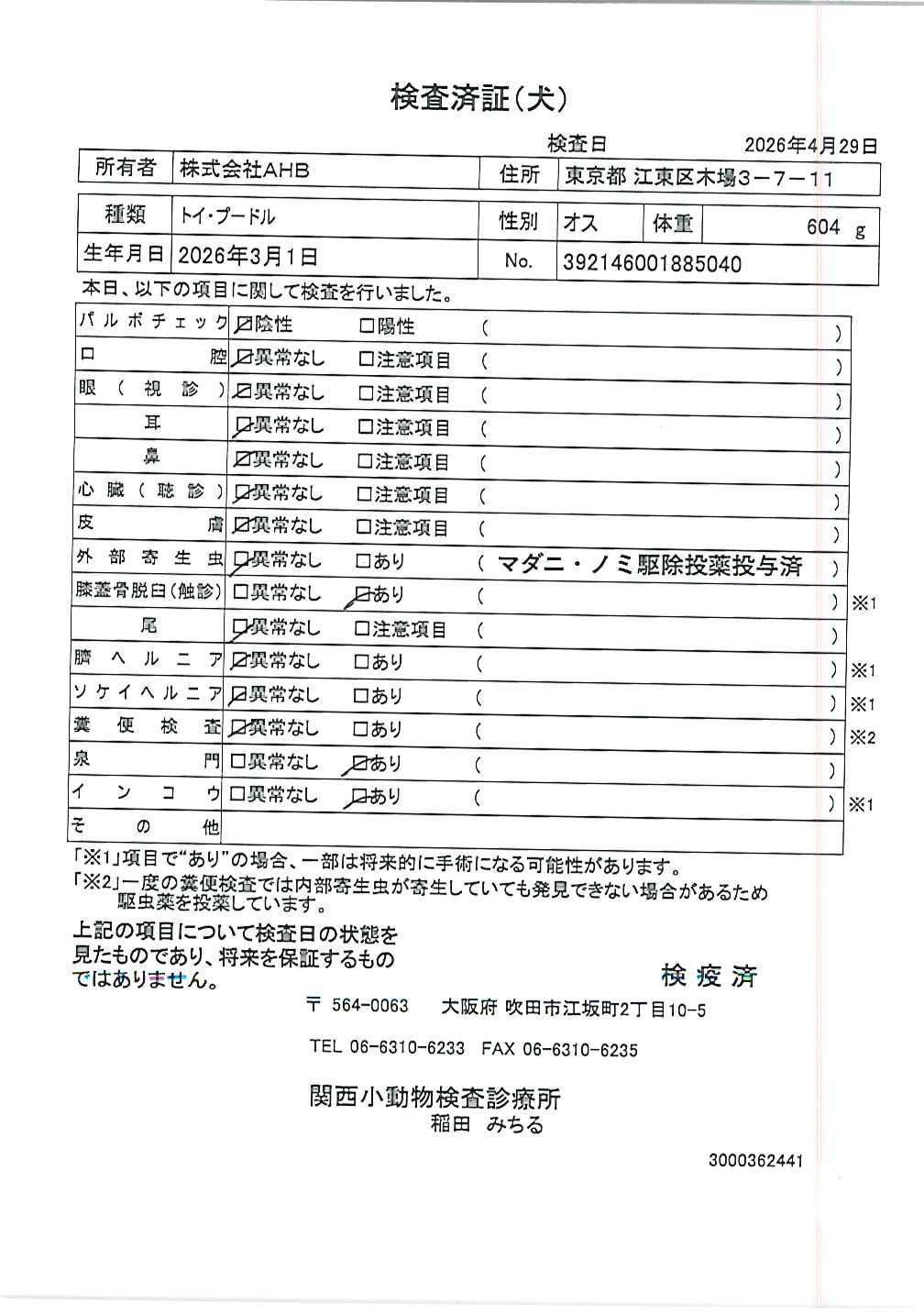 トイ・プードル