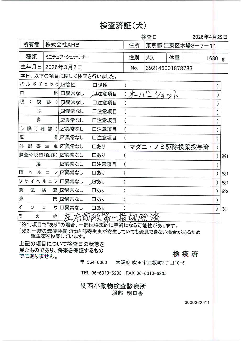 ミニチュア・シュナウザー