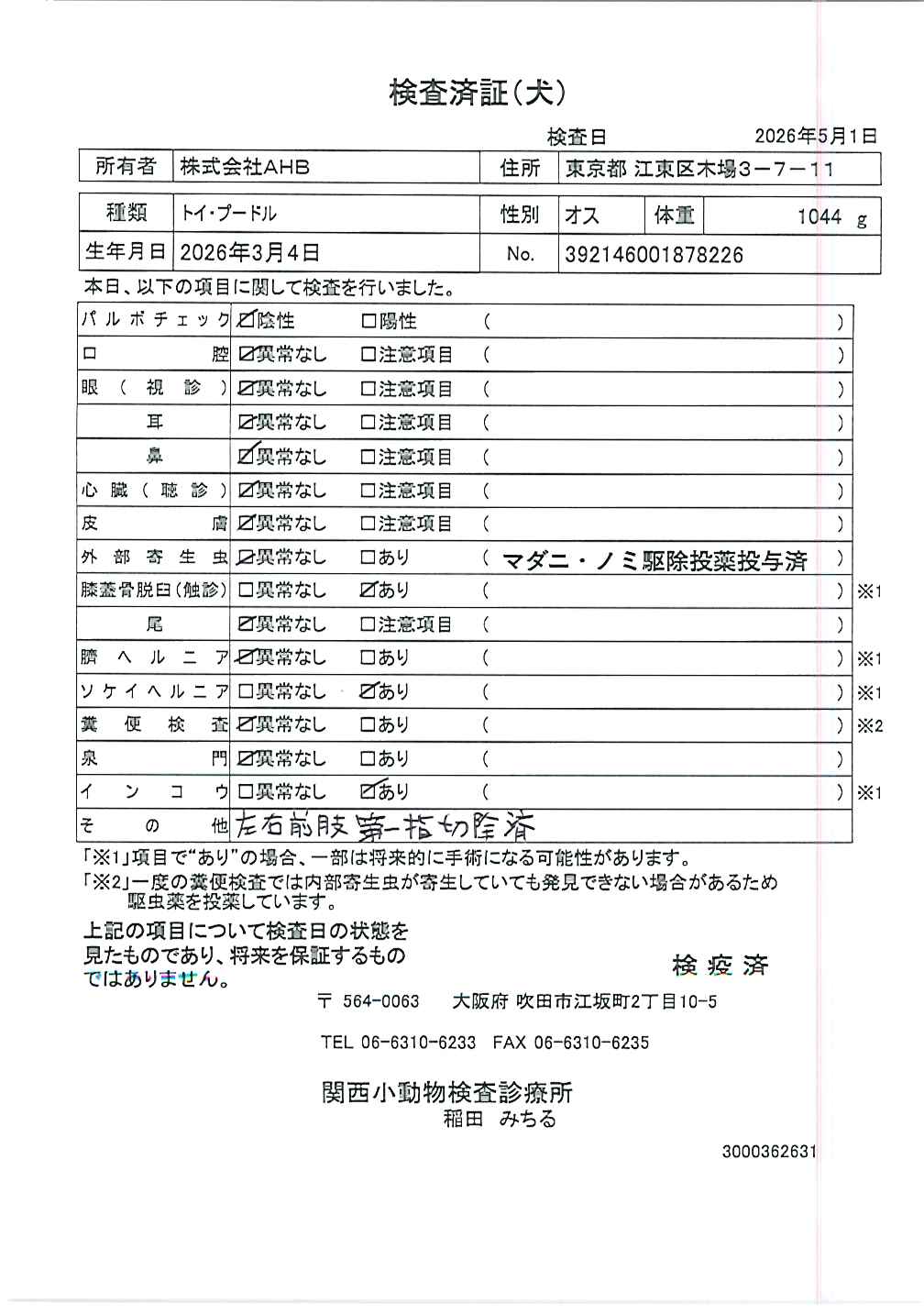 トイ・プードル