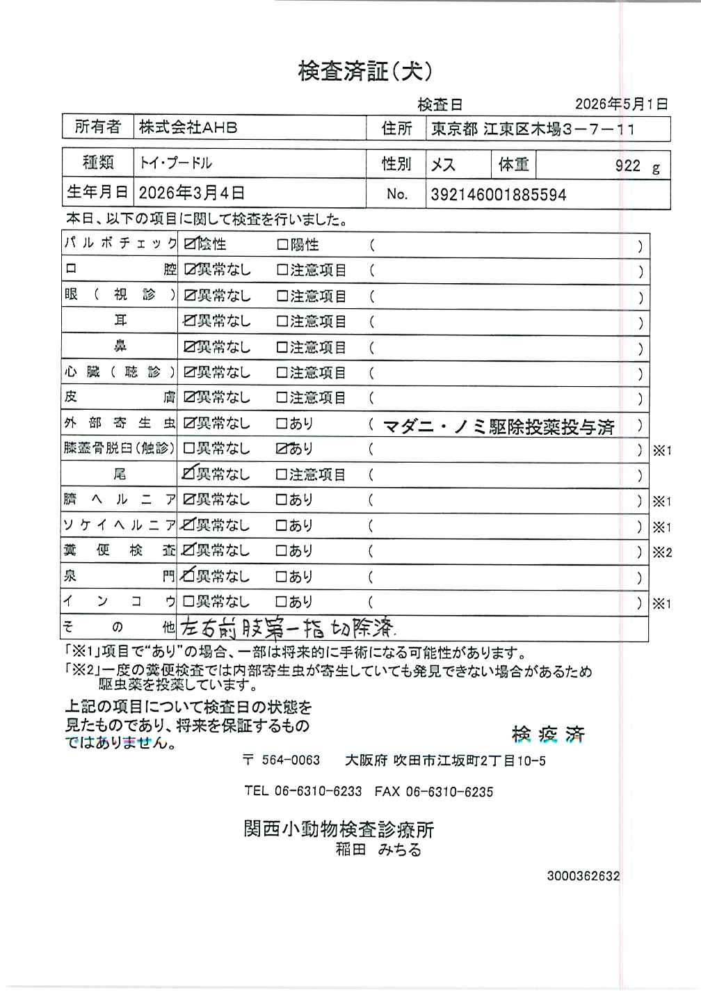 トイ・プードル