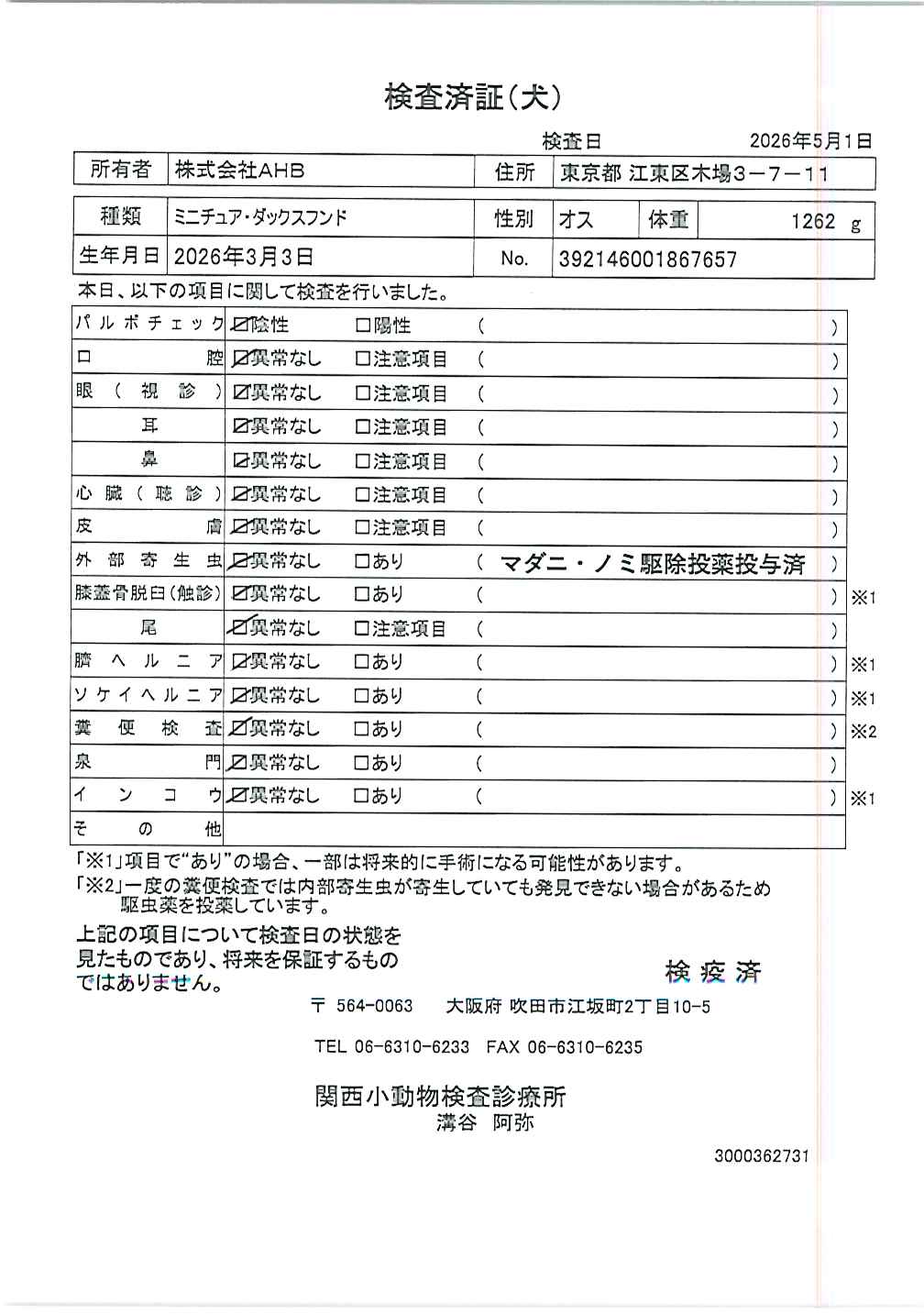 ミニチュア・ダックスフンド