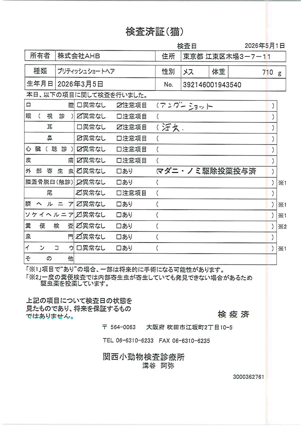 ブリティッシュショートヘア