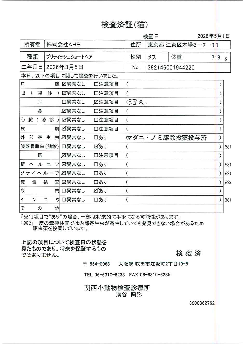 ブリティッシュショートヘア