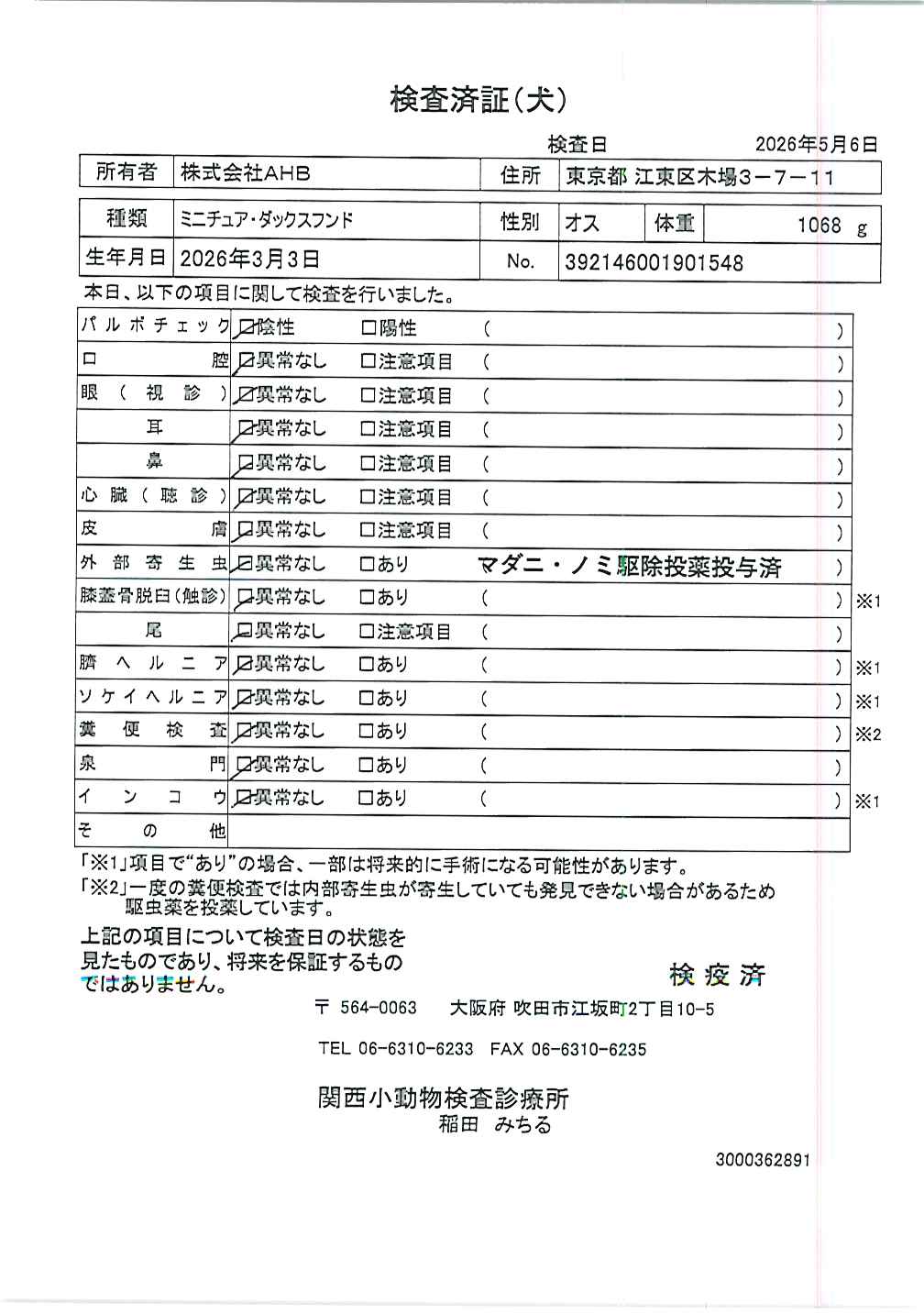 ミニチュア・ダックスフンド