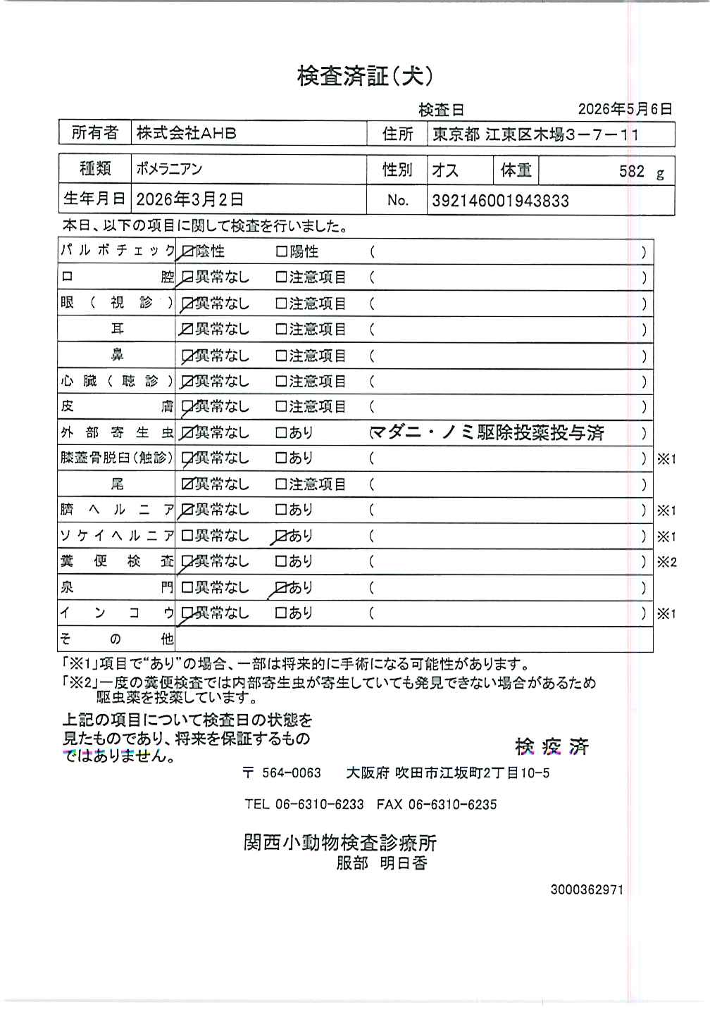 ポメラニアン