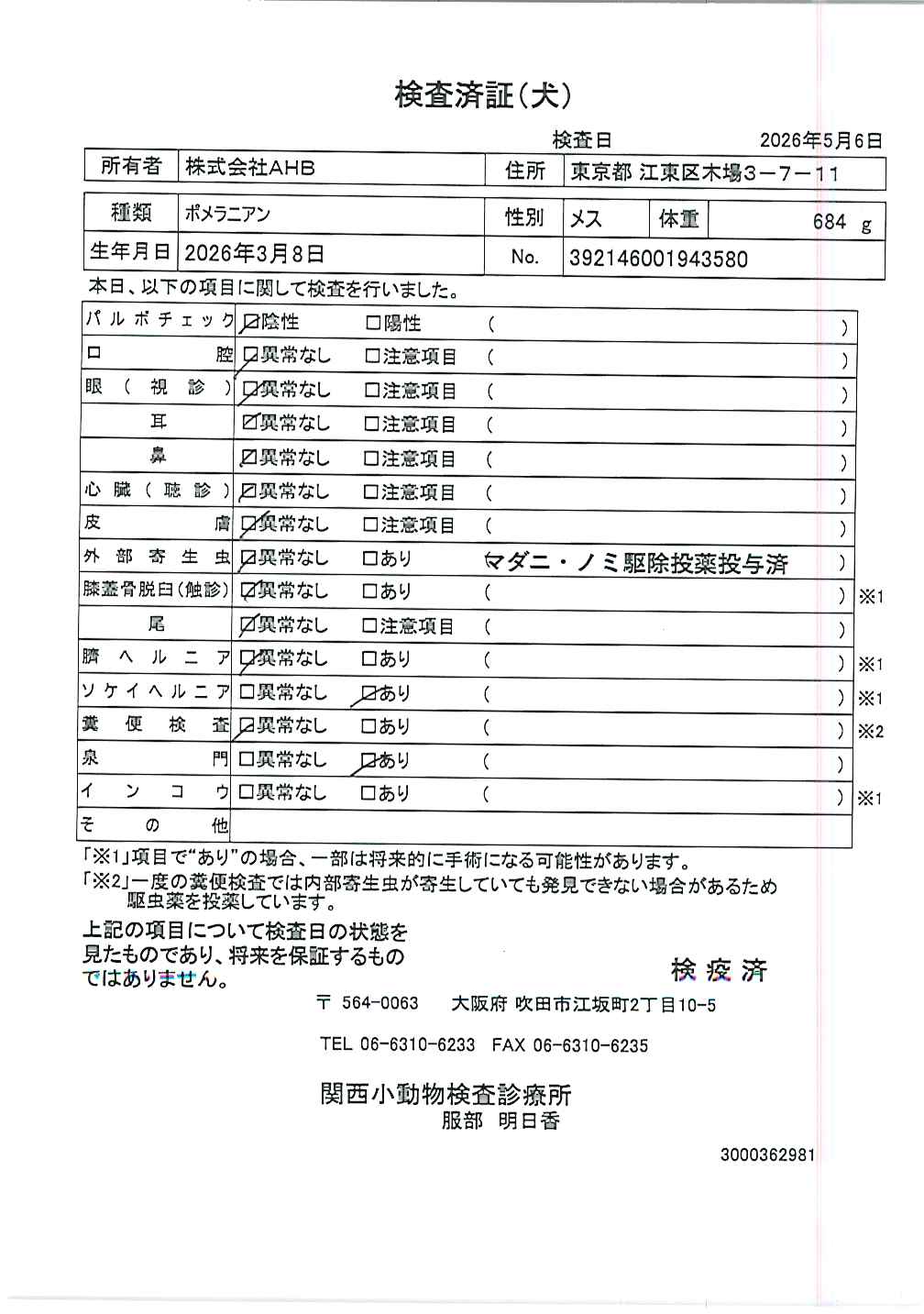 ポメラニアン