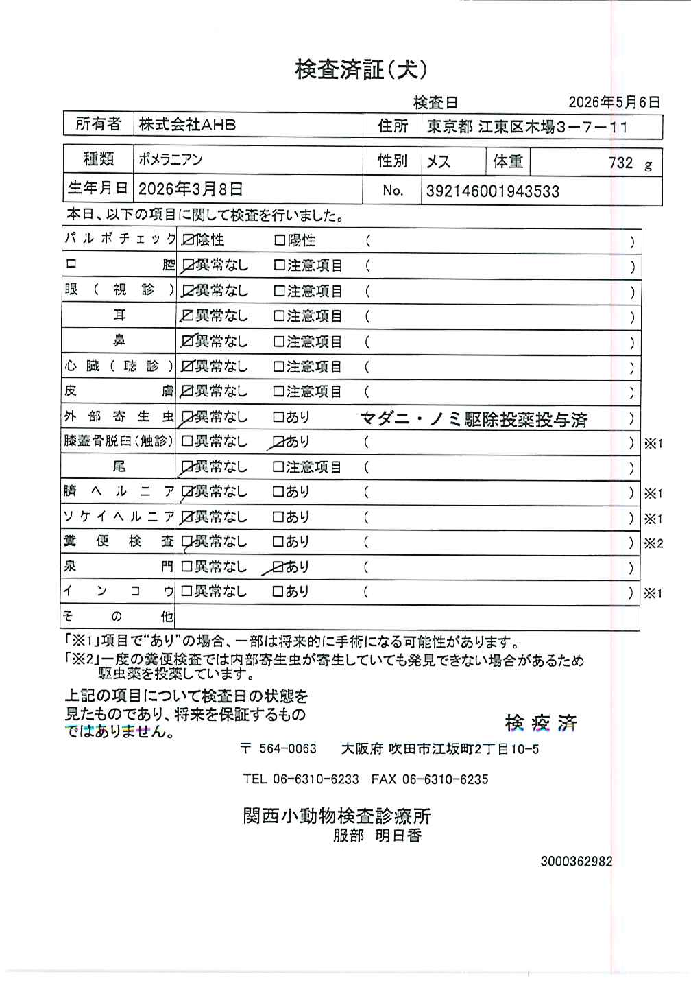 ポメラニアン