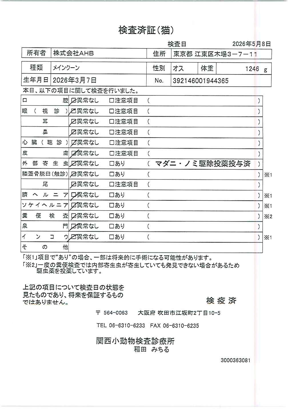メインクーン