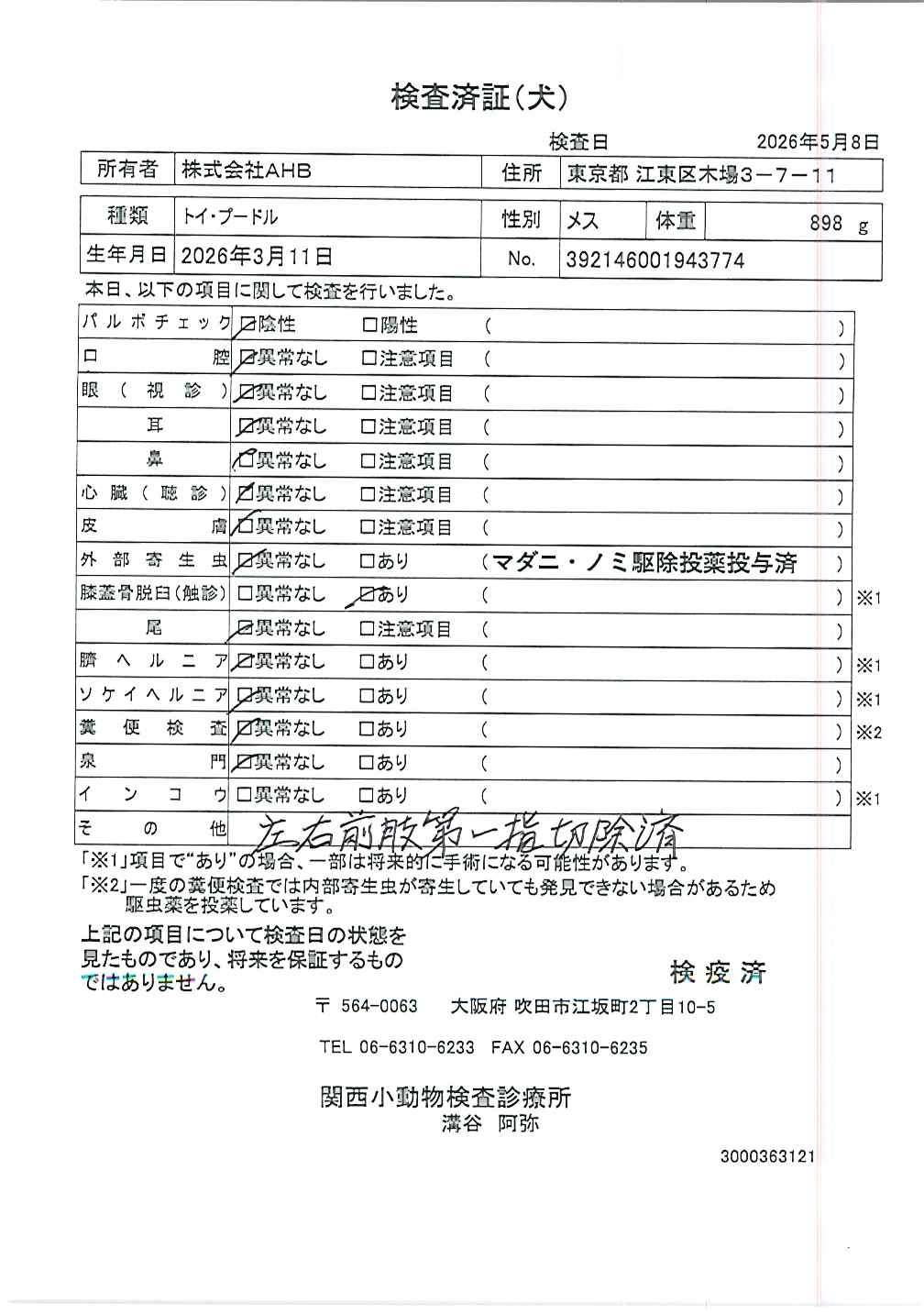 トイ・プードル