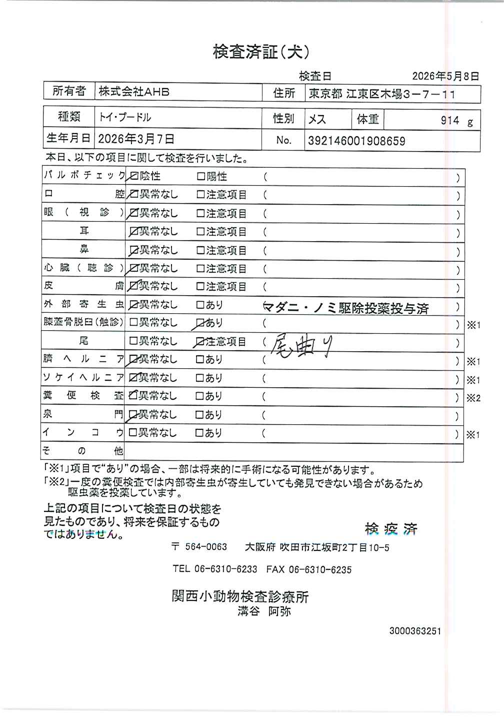 トイ・プードル