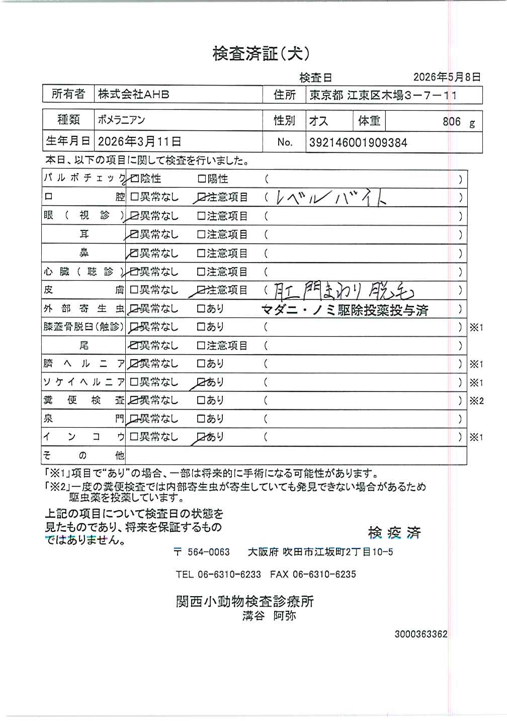 ポメラニアン