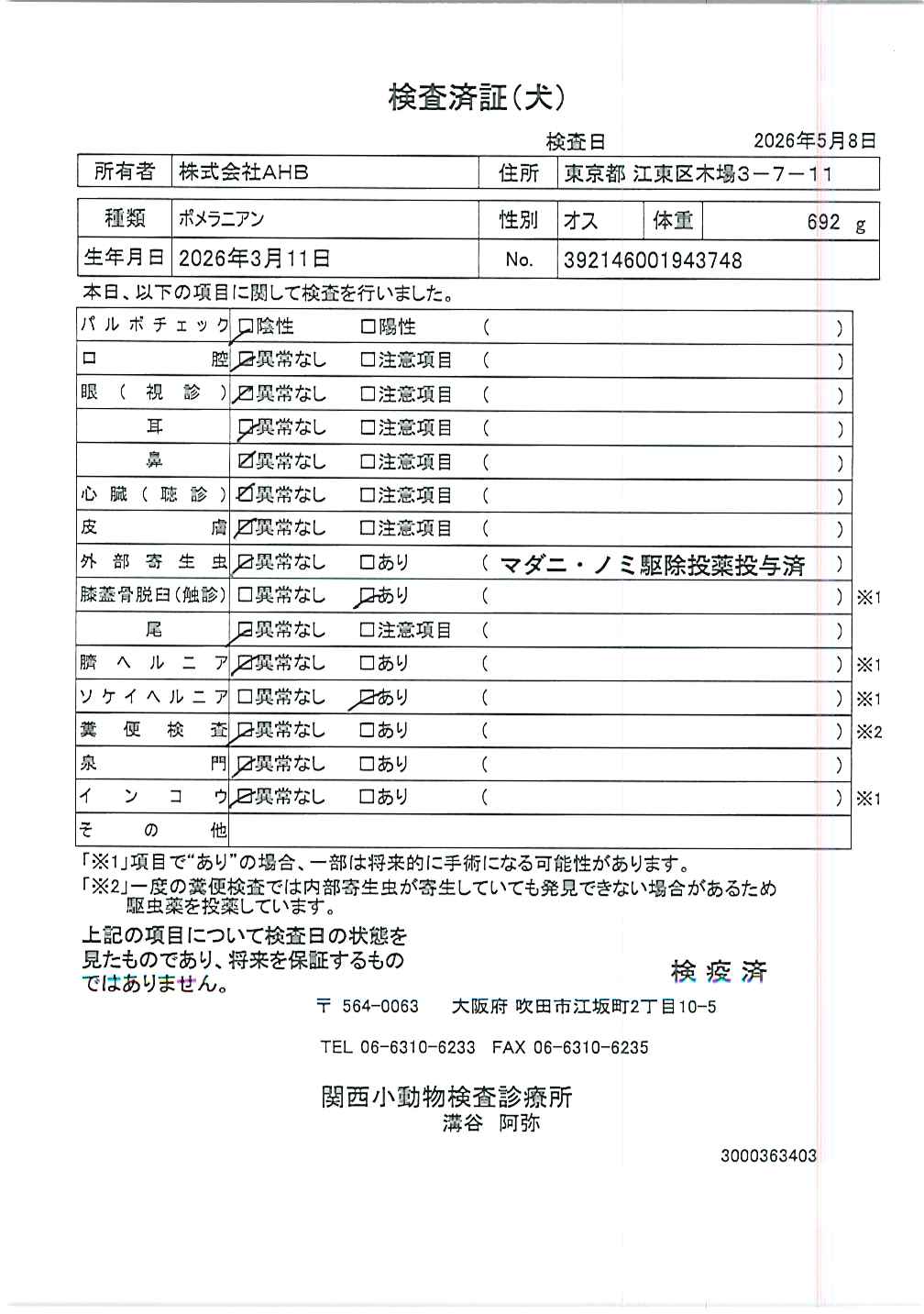 ポメラニアン