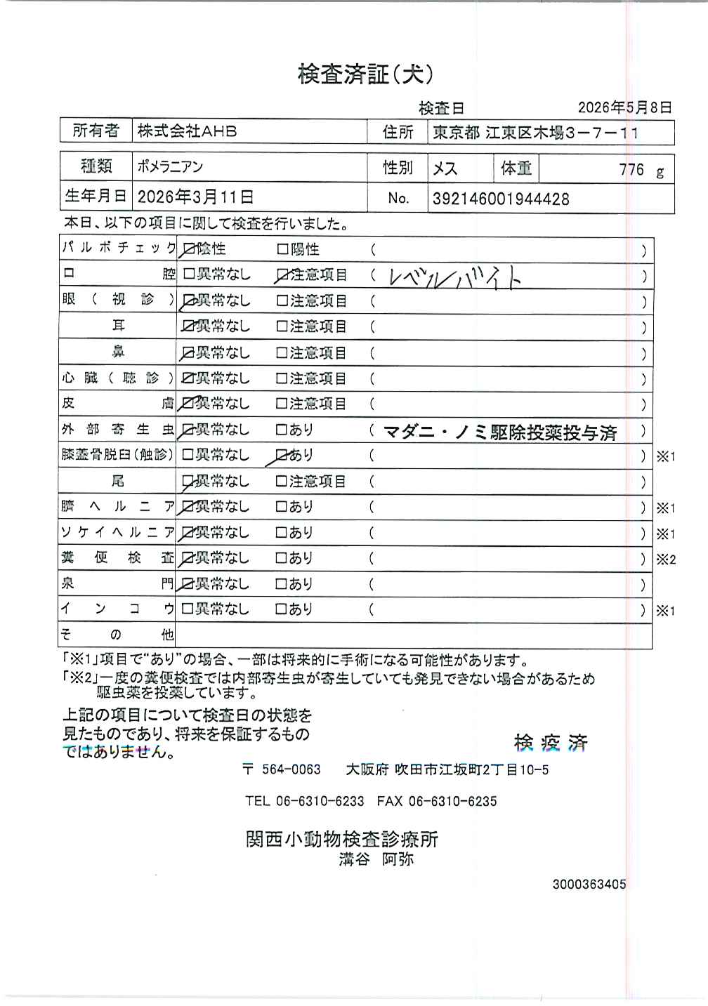 ポメラニアン