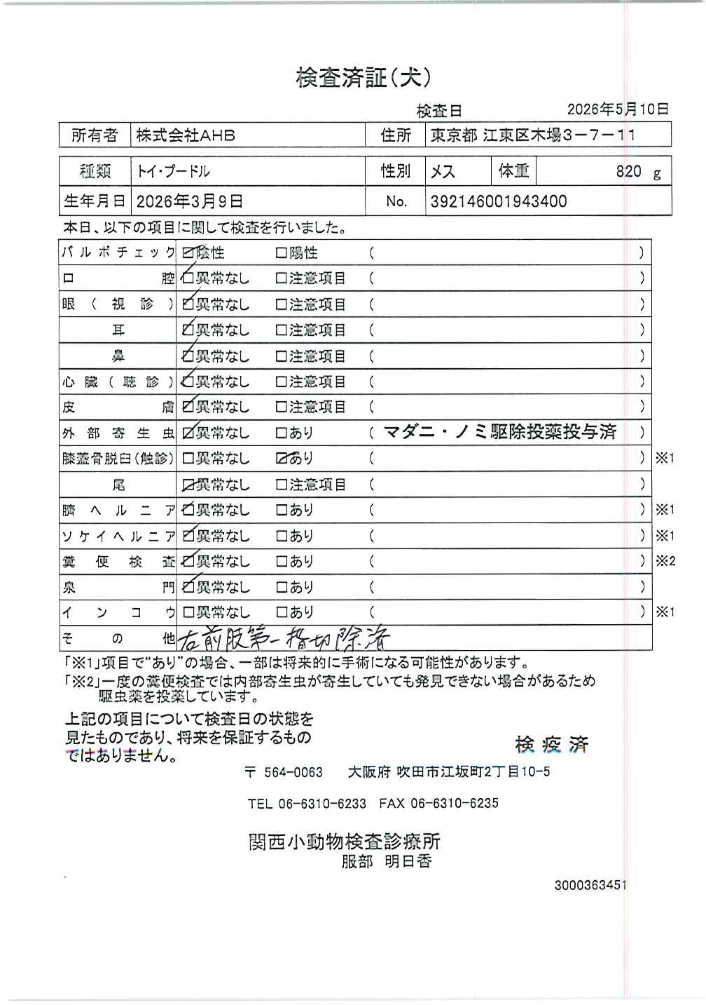 トイ・プードル