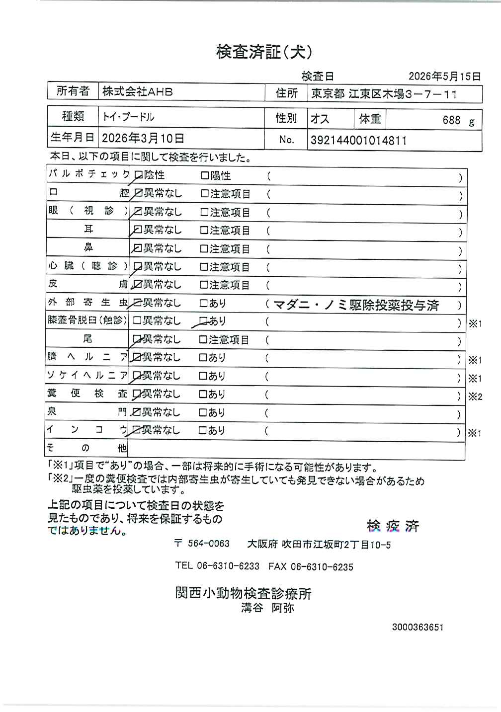 トイ・プードル