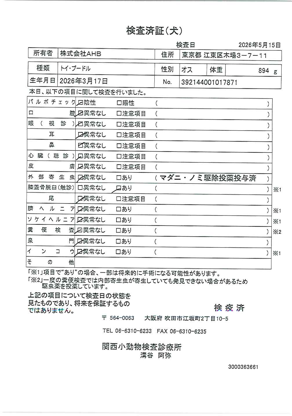 トイ・プードル