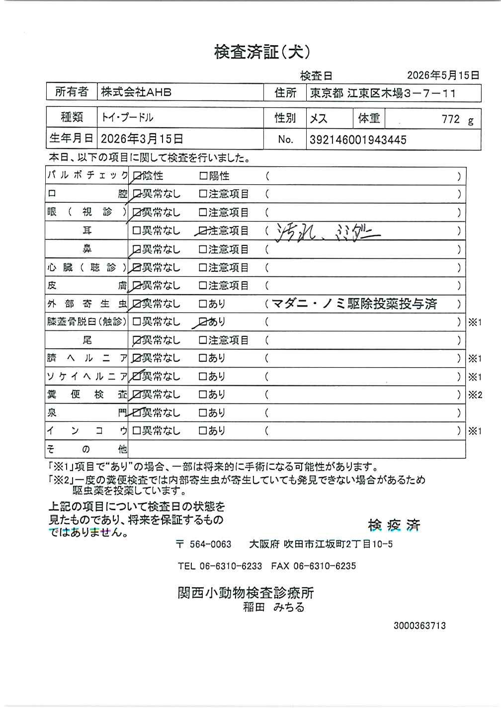 トイ・プードル