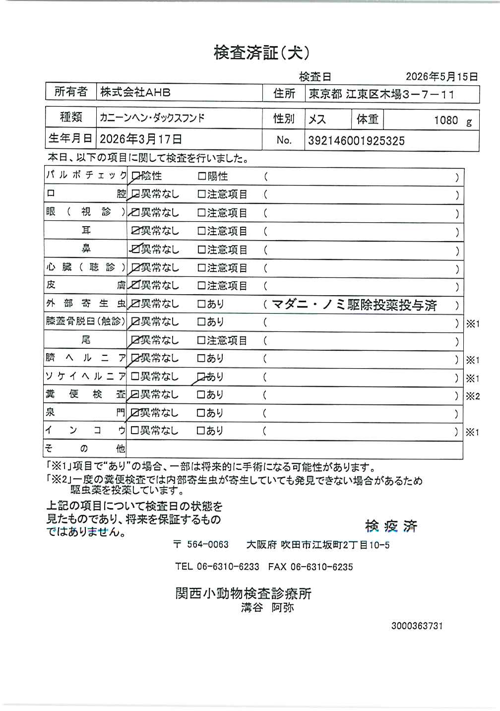 カニーンヘン・ダックスフンド
