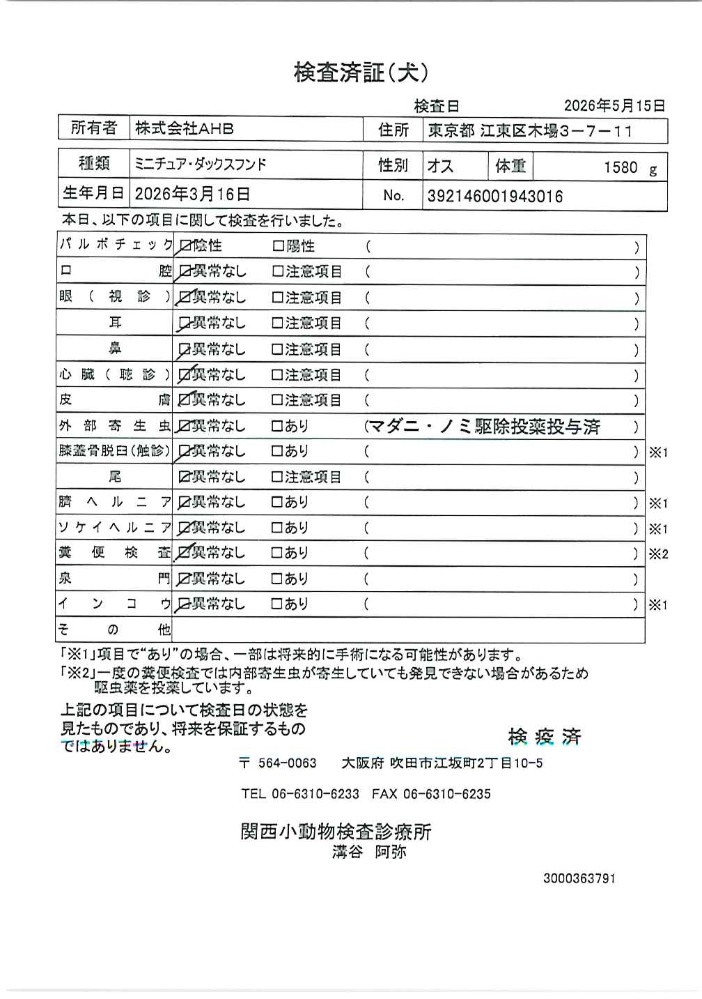 ミニチュア・ダックスフンド