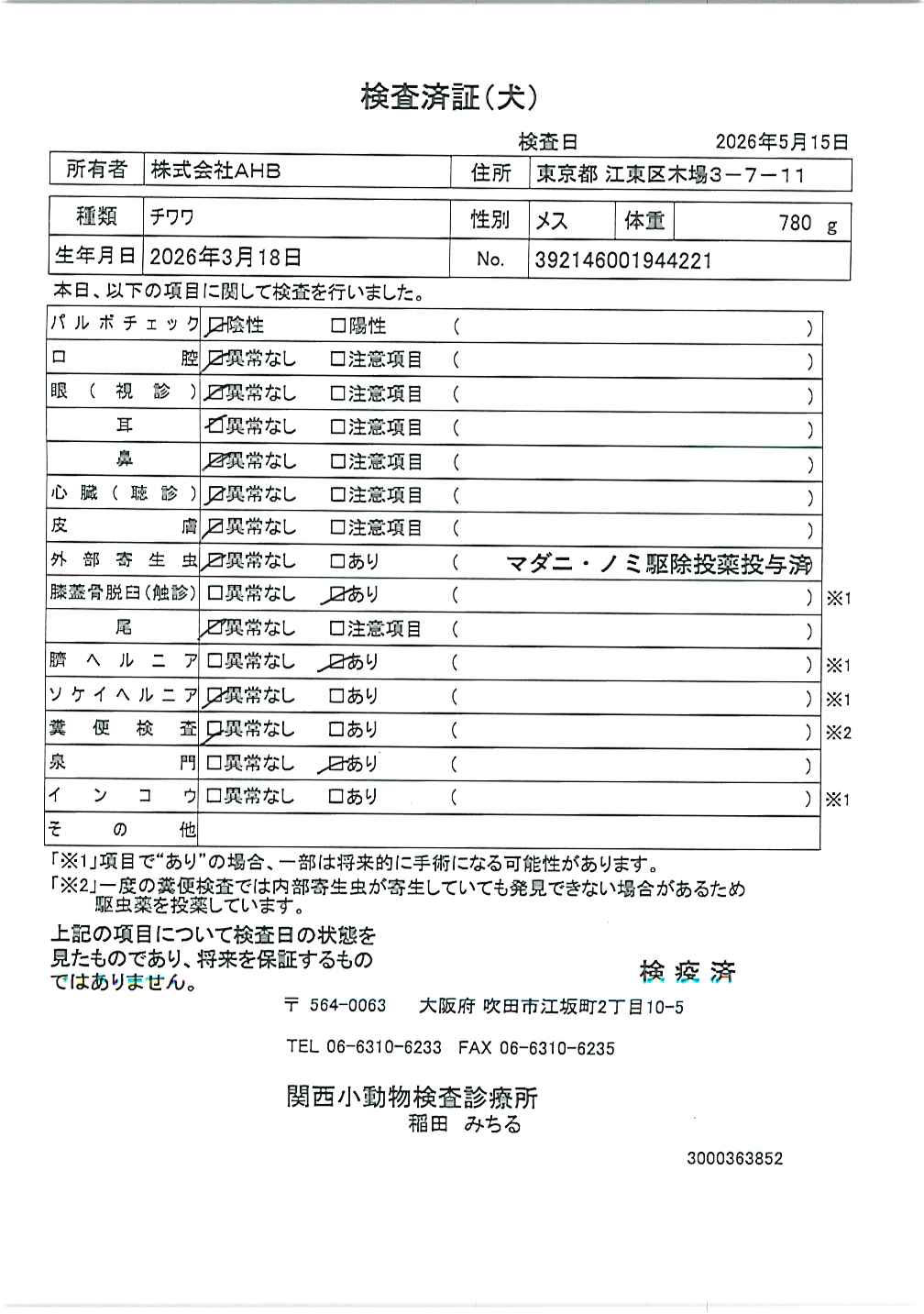 ポメラニアン