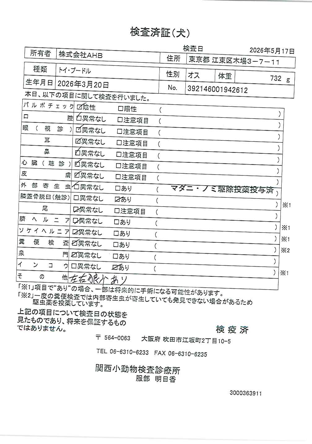 トイ・プードル