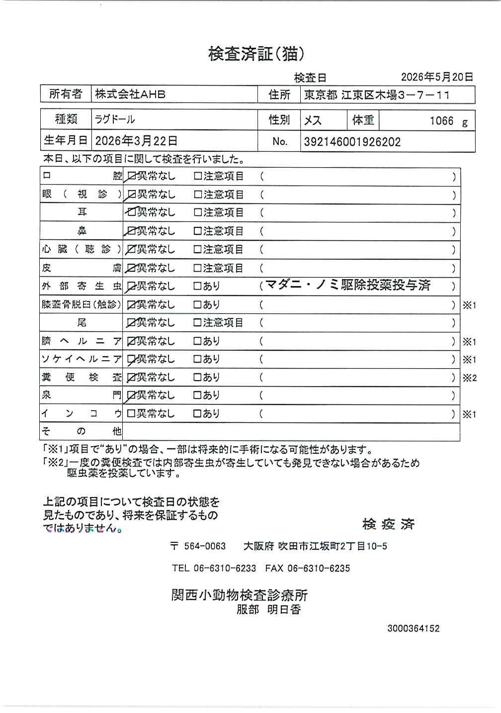 トイ・プードル
