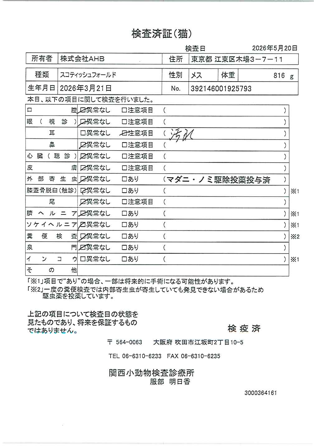 トイ・プードル
