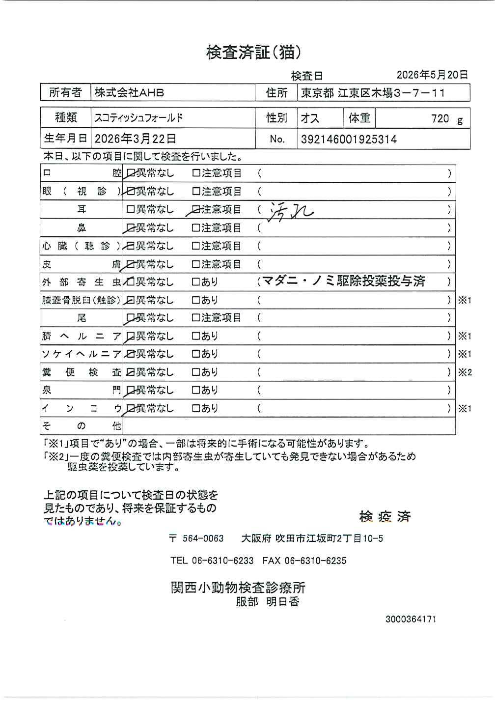 トイ・プードル