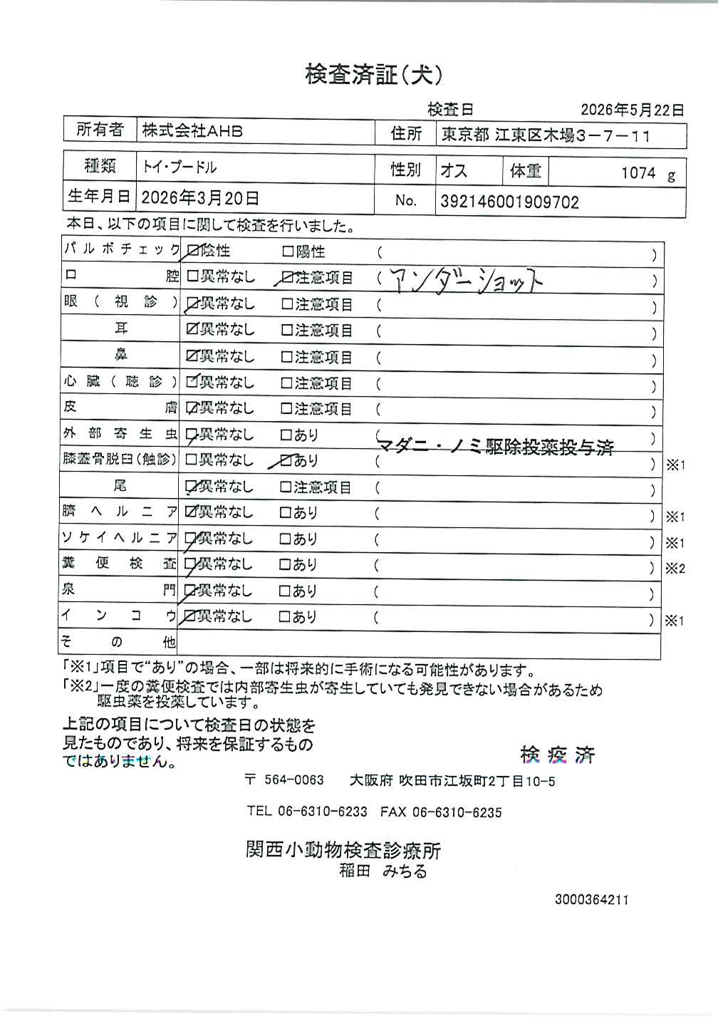 トイ・プードル