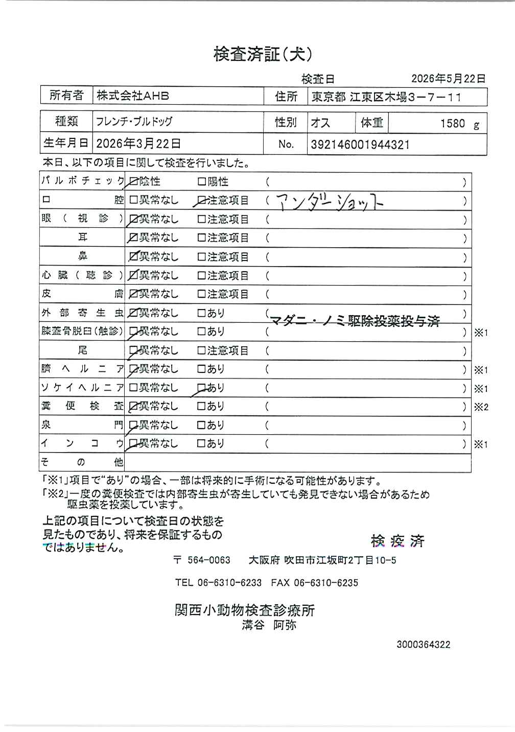 フレンチ・ブルドッグ