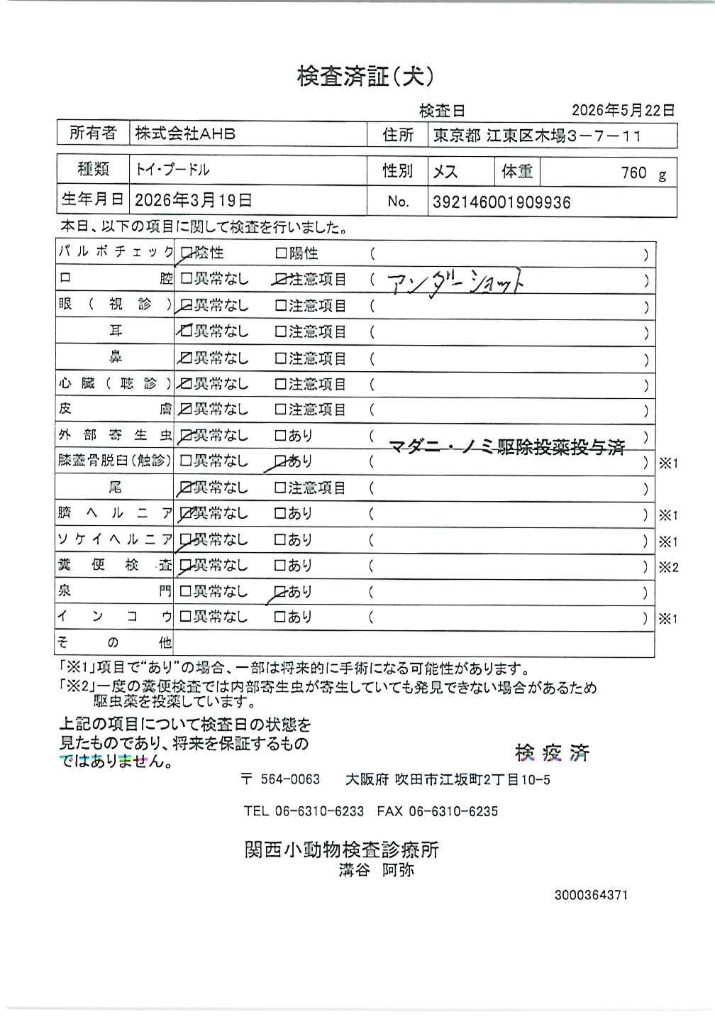トイ・プードル