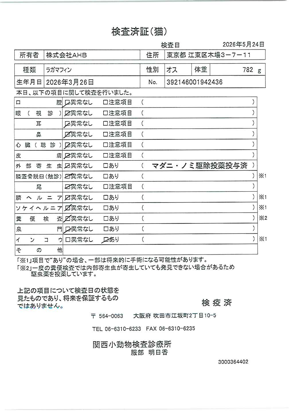 ラガマフィン