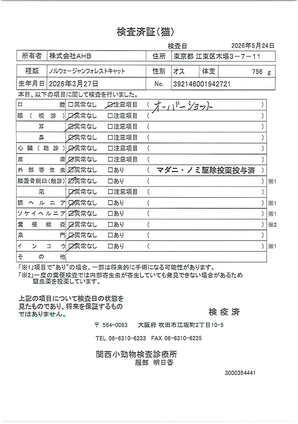 ノルウェージャンフォレストキャット
