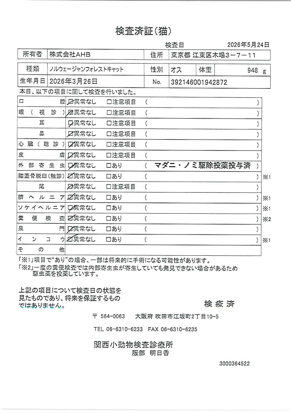 ノルウェージャンフォレストキャット