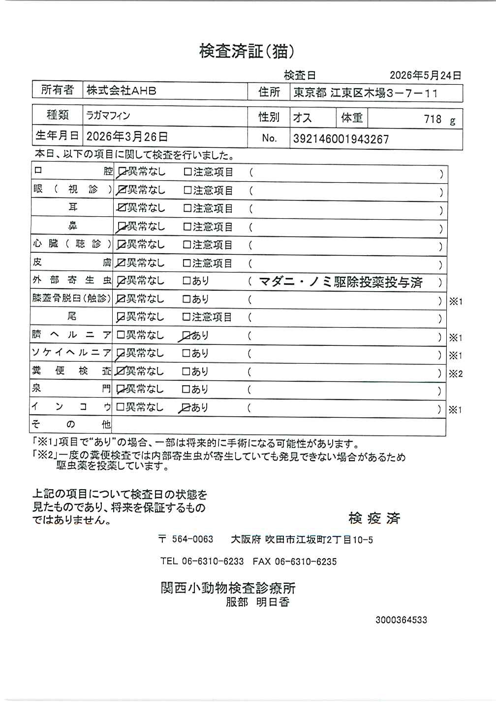 ラガマフィン
