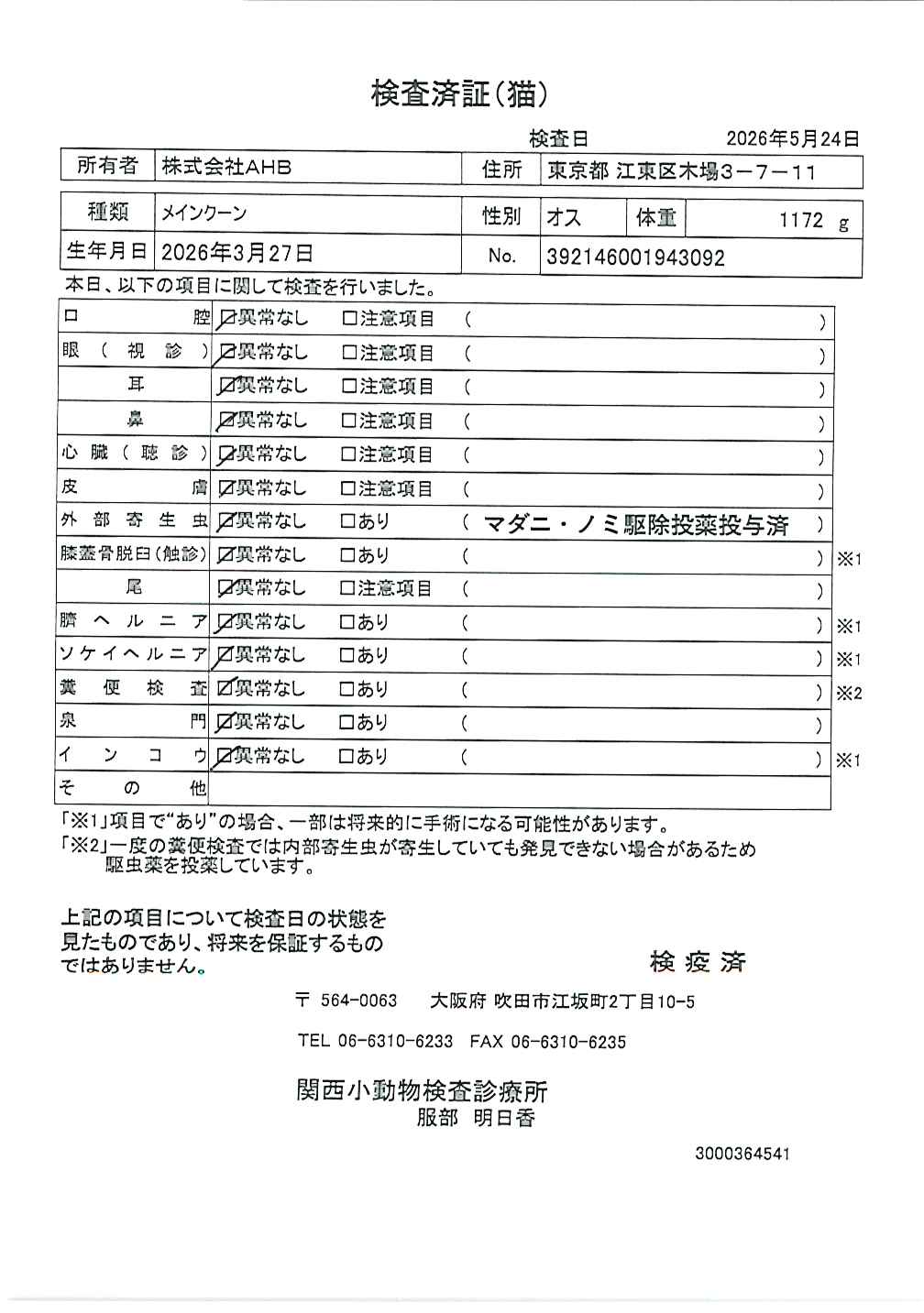 メインクーン