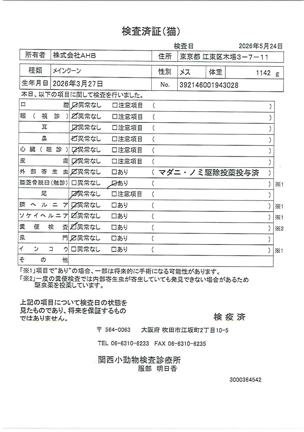 メインクーン