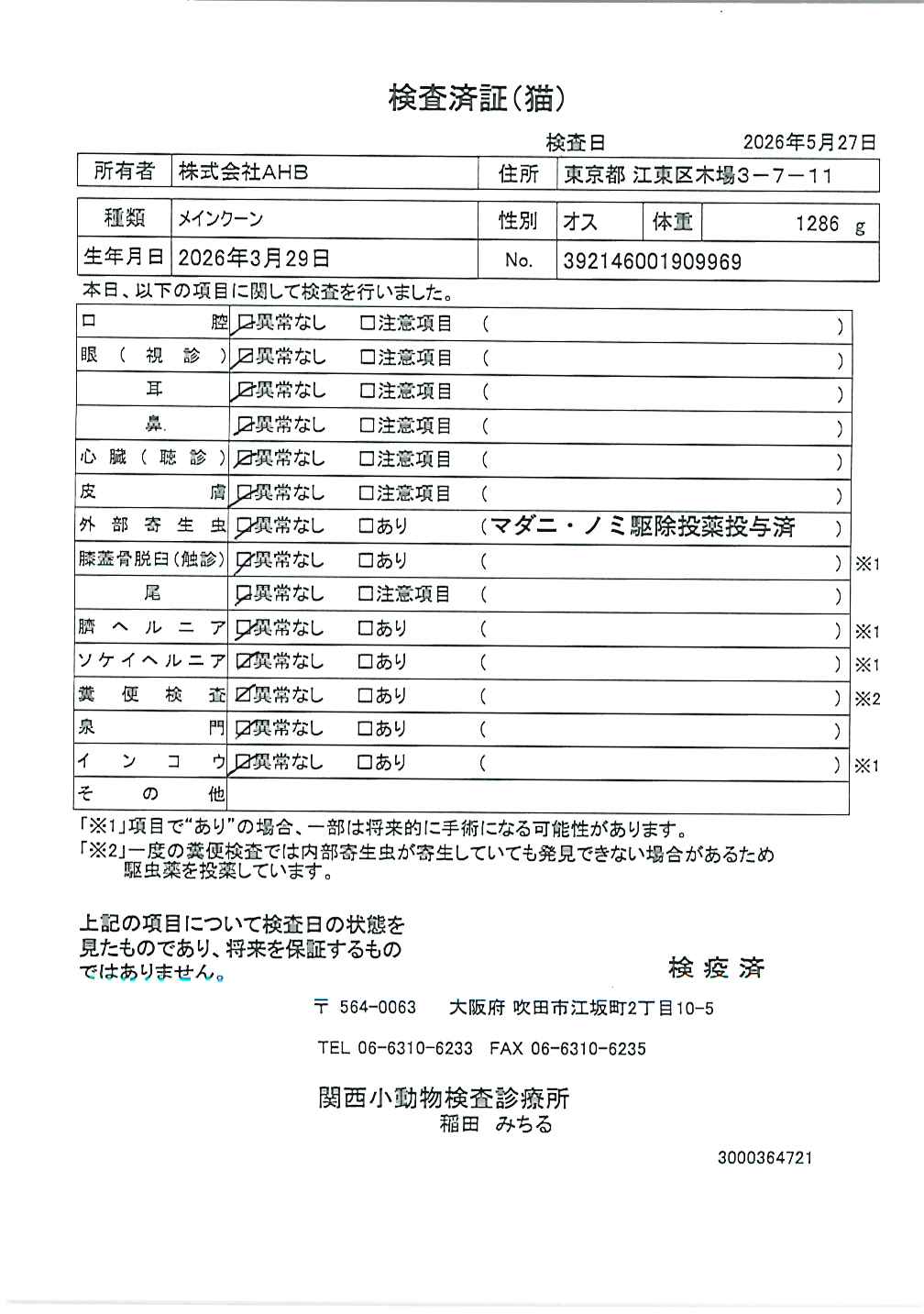 メインクーン