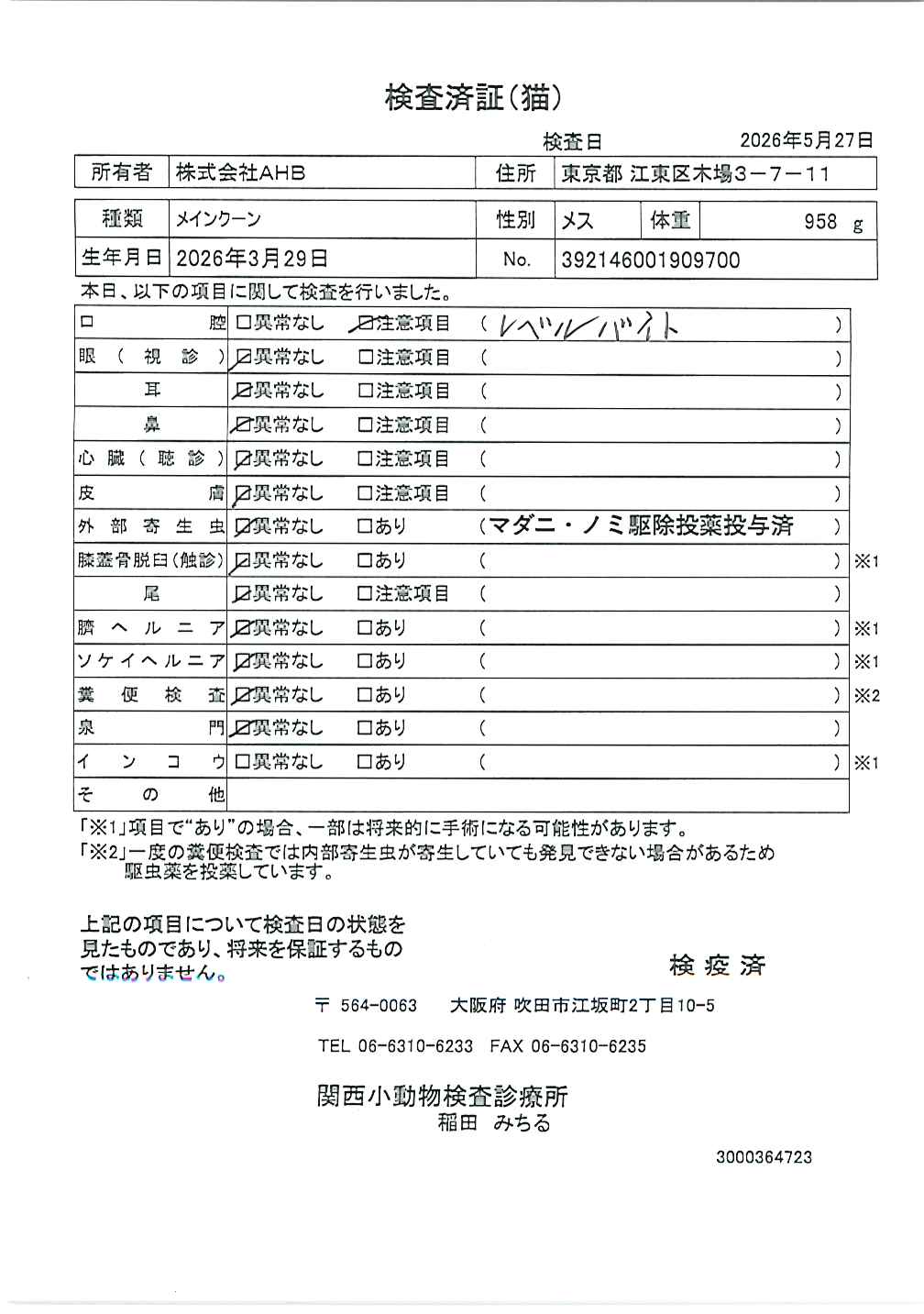メインクーン