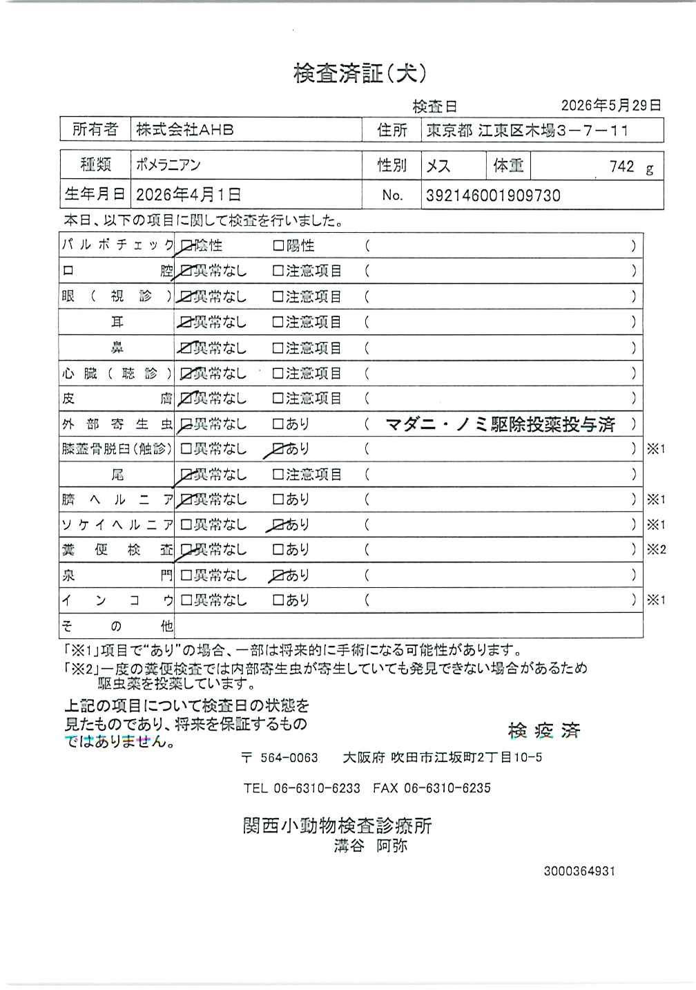 ポメラニアン