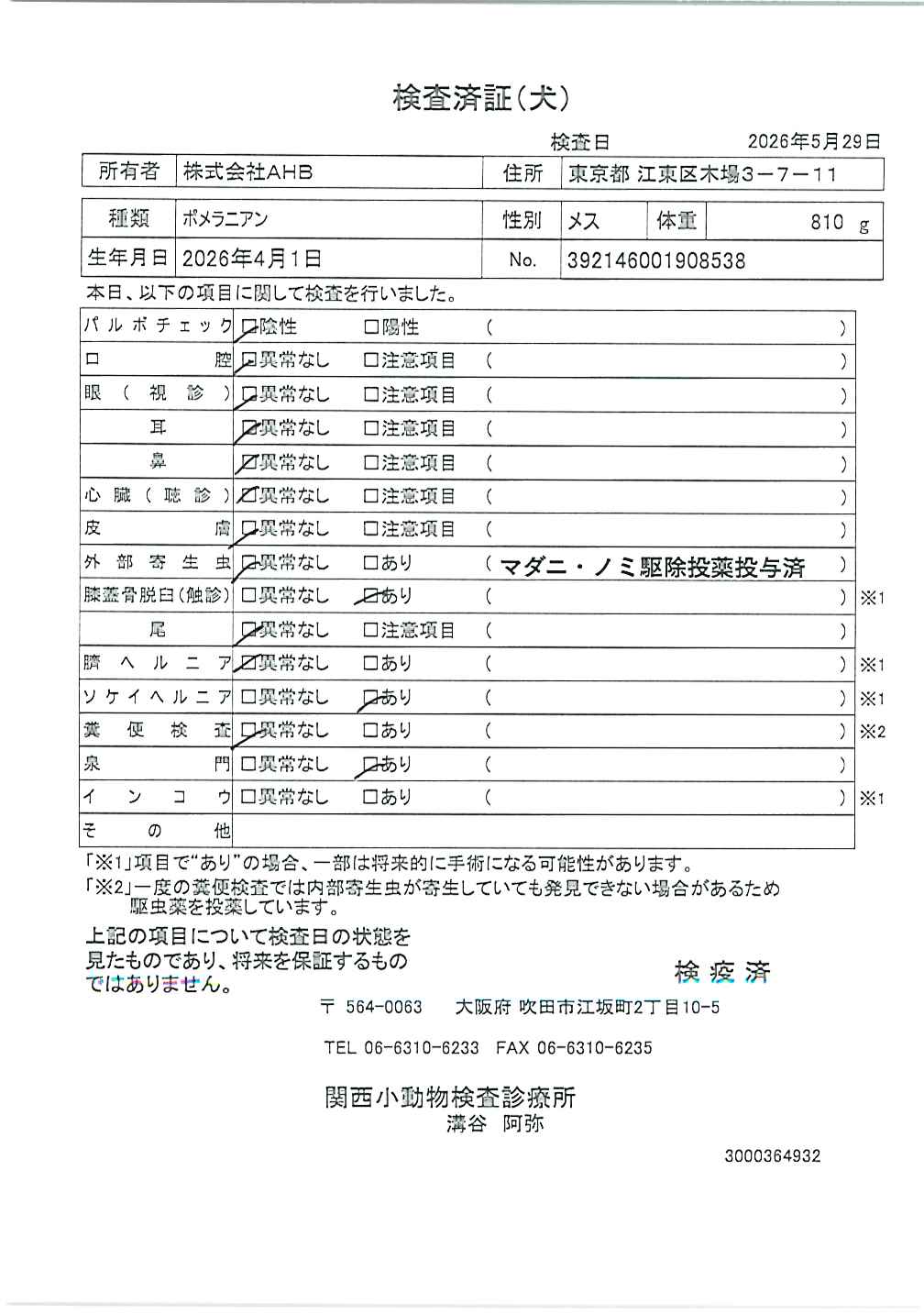 ポメラニアン