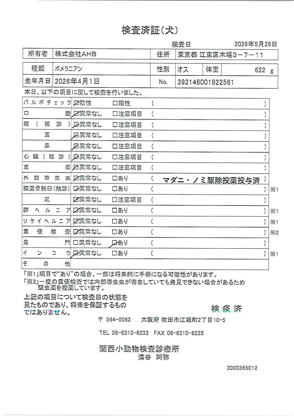 ポメラニアン