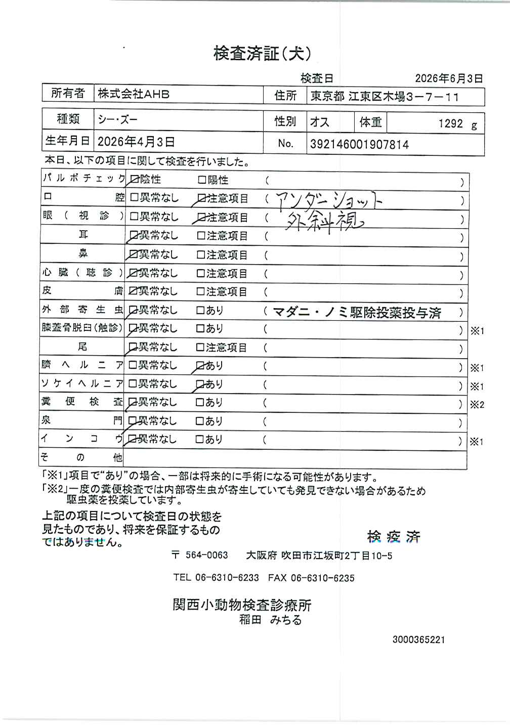 シー・ズー