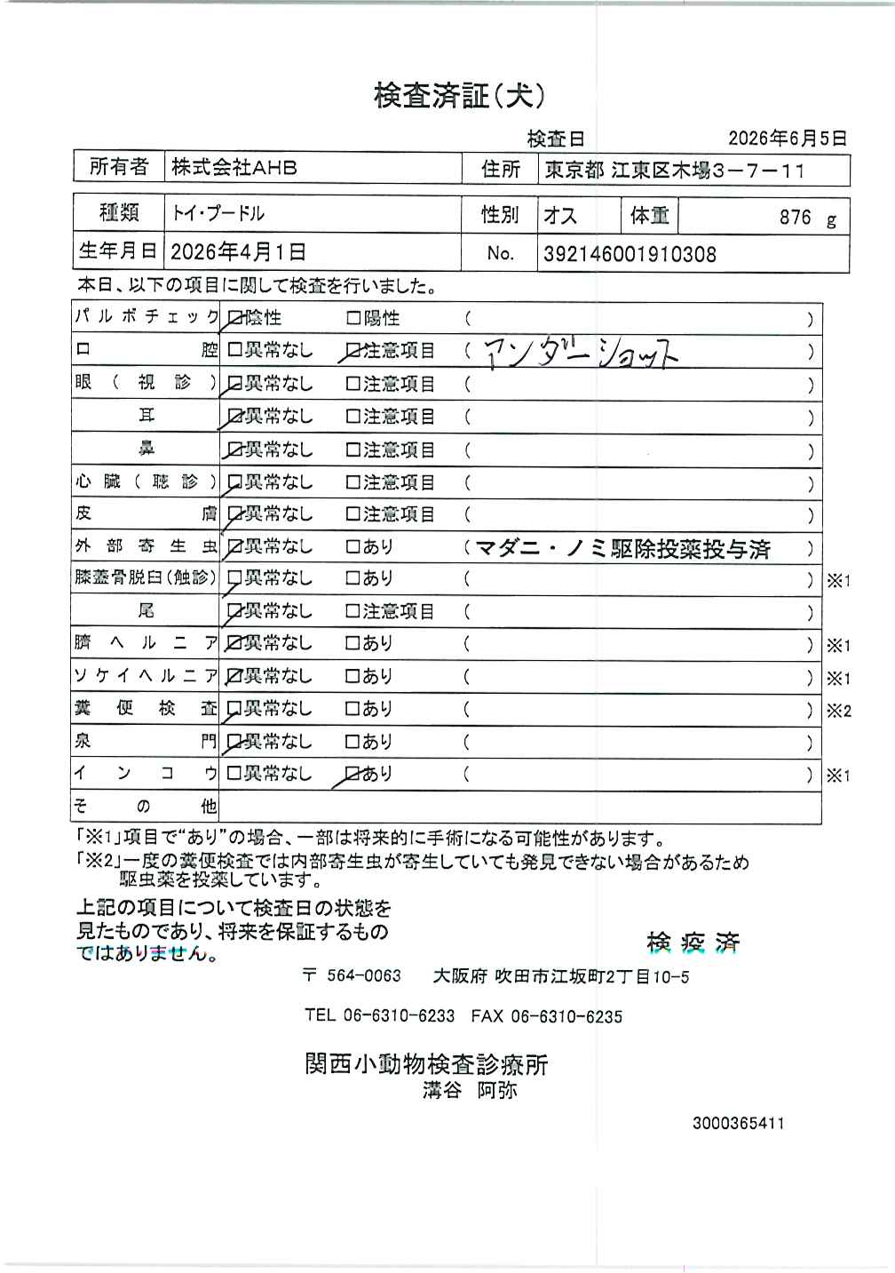 トイ・プードル