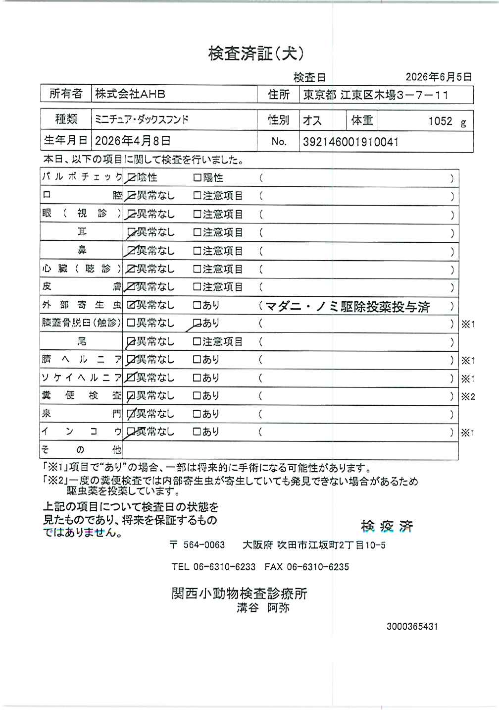 ミニチュア・ダックスフンド