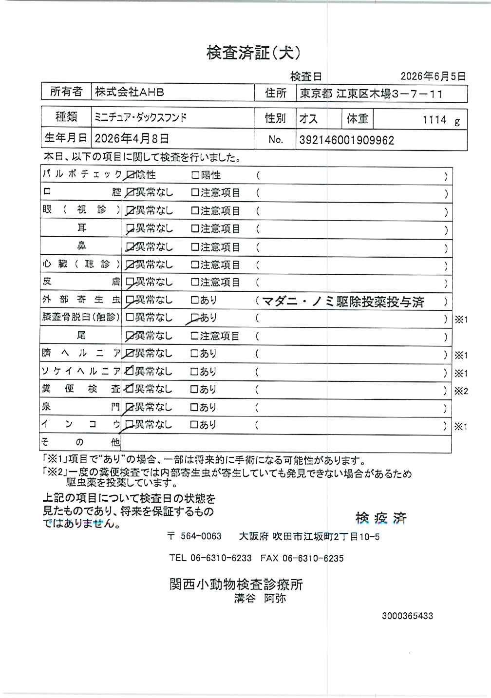 ミニチュア・ダックスフンド