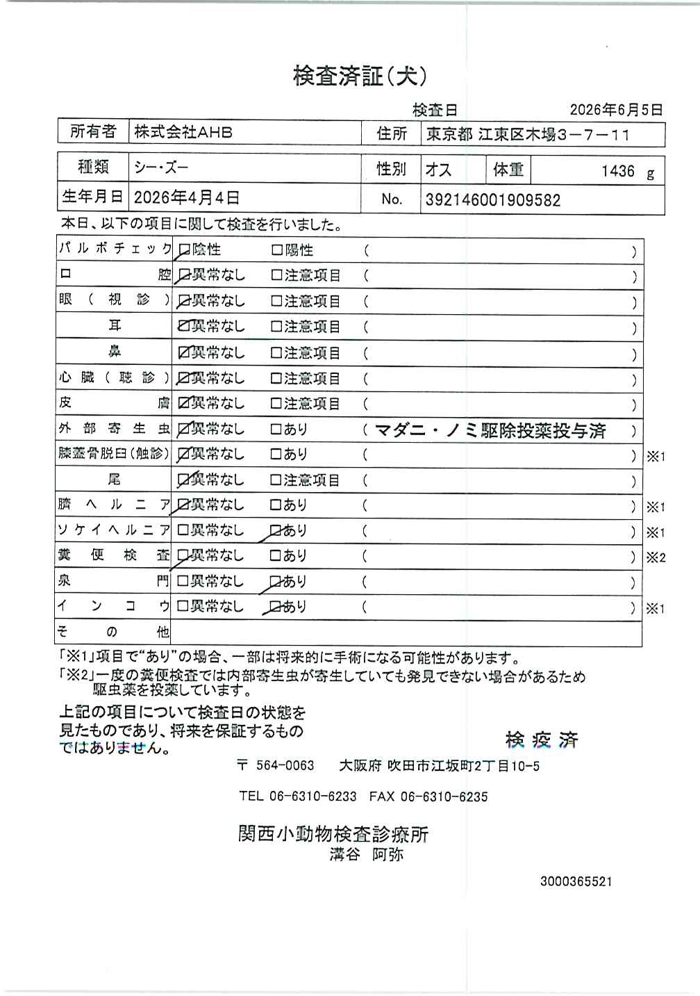 シー・ズー