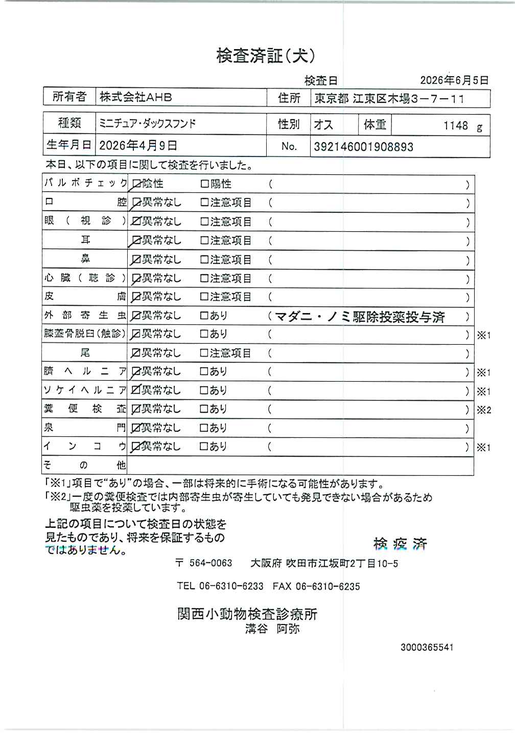 ミニチュア・ダックスフンド