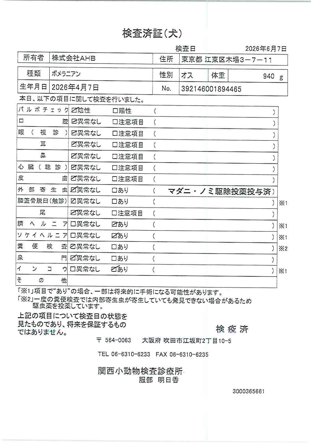 ポメラニアン