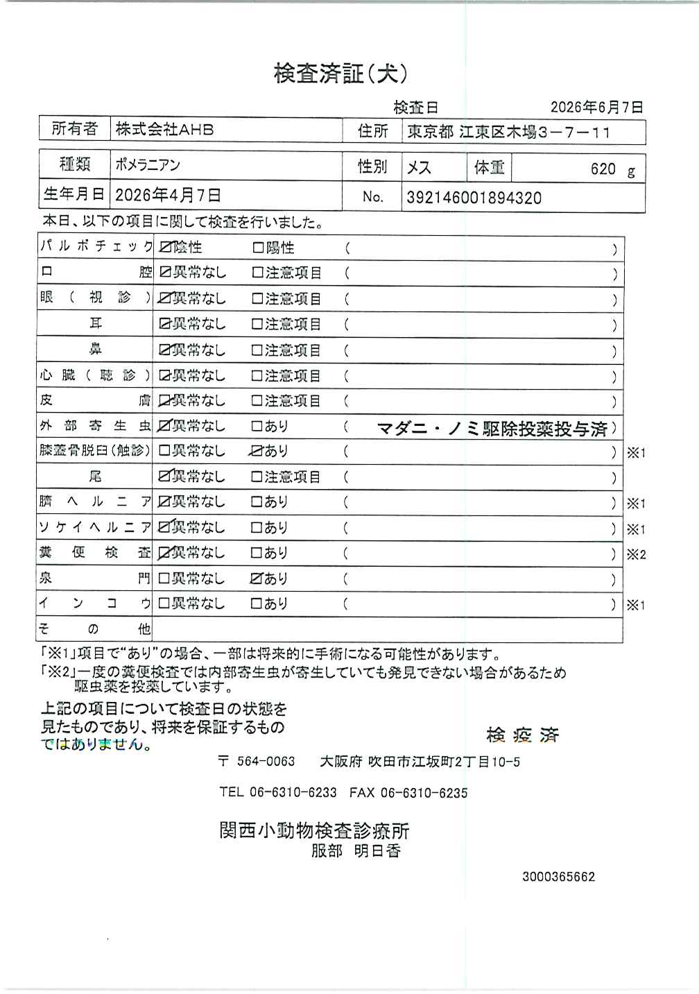 ポメラニアン
